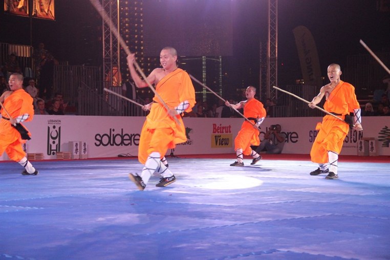 Martial Arts Festival